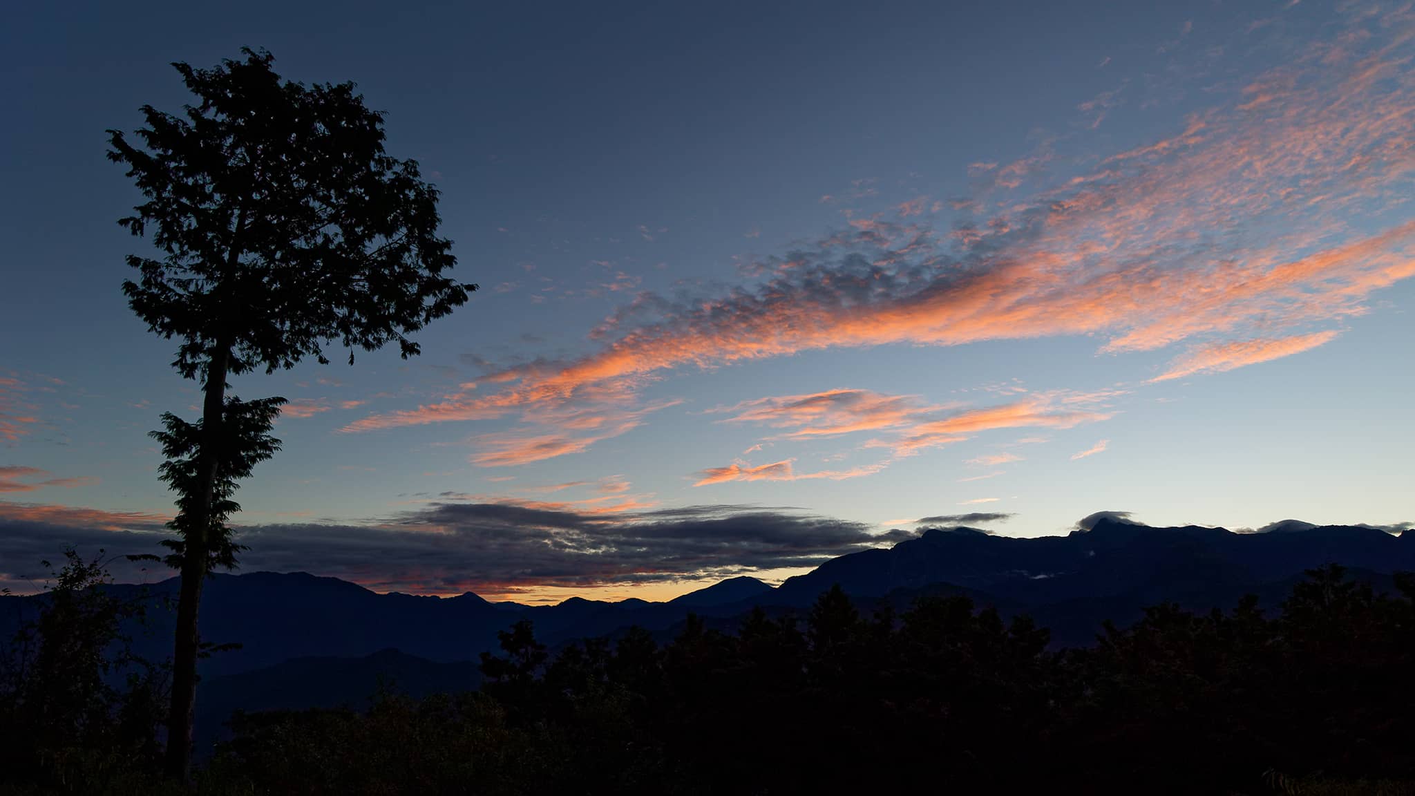 05 - Alishan (77).jpg